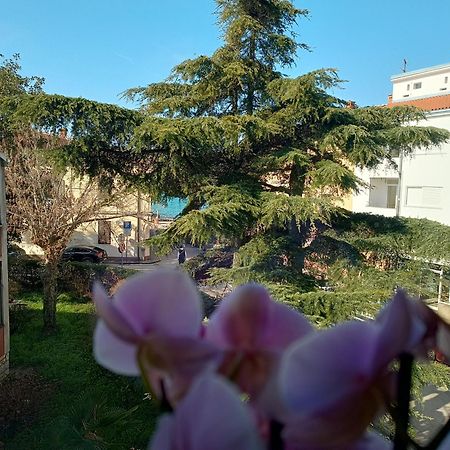 Apartment Luka Fažana Kültér fotó