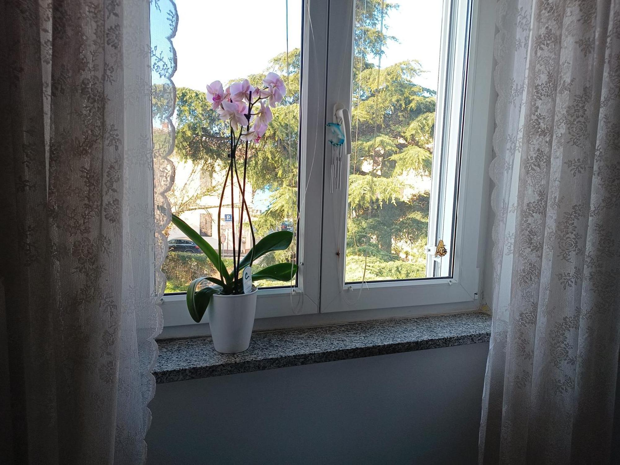 Apartment Luka Fažana Kültér fotó
