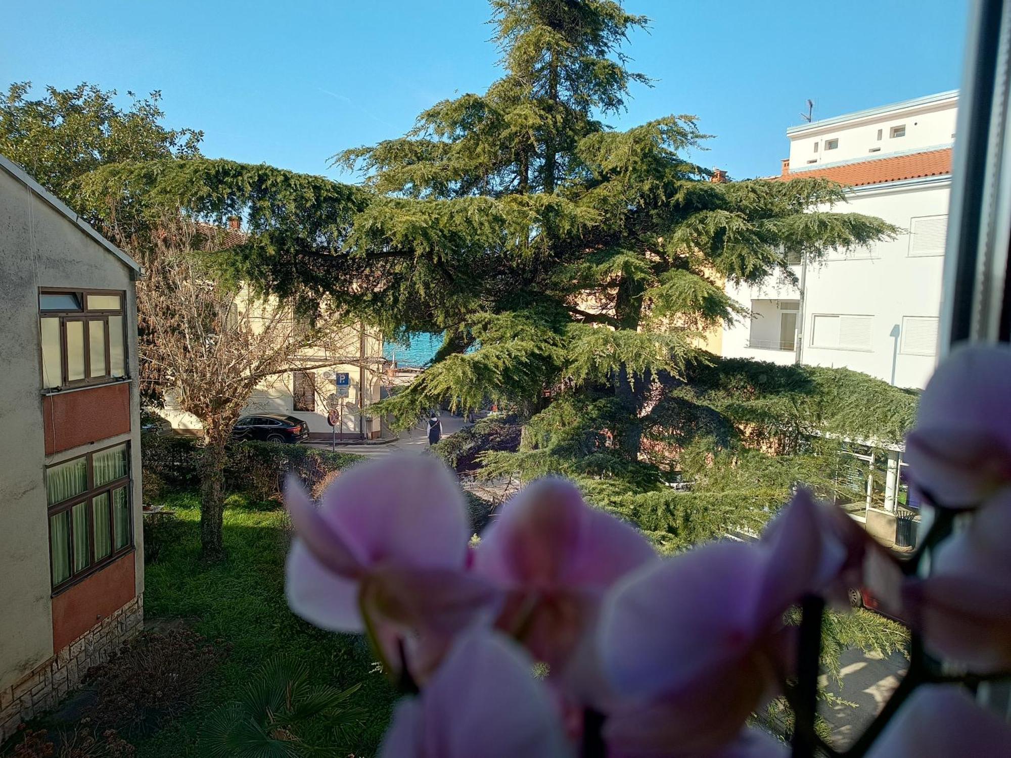 Apartment Luka Fažana Kültér fotó